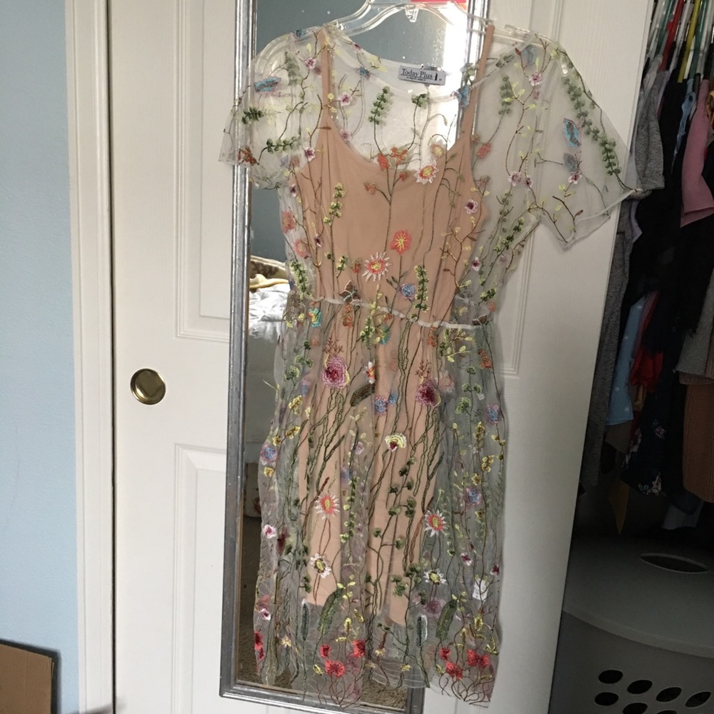 Embroidered mesh dress